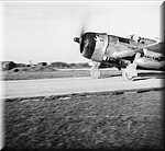 1944 - 2016.jpg