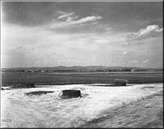 1944 - 5024.jpg