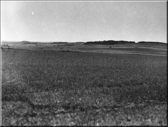 1944 - 5026.jpg