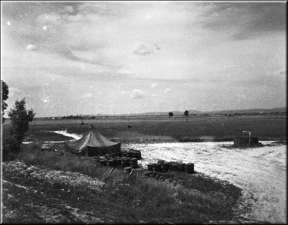 1944 - 5027.jpg