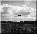 1944 - 5050.jpg