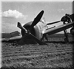 1944 - 5059.jpg