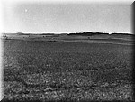 1944 - 5065.jpg