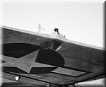 1944 - 5073.jpg