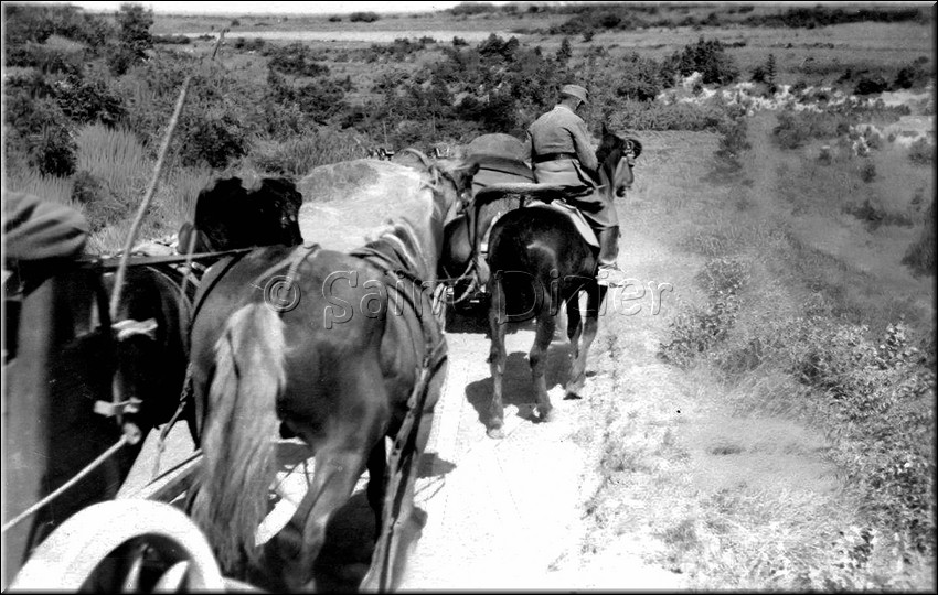1940 - 0650.jpg