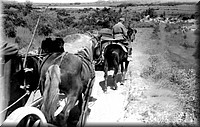 1940 - 0650.jpg