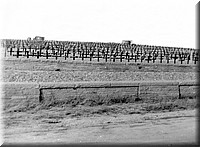 1940 - 0610.jpg
