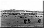 1940 - 0160.jpg