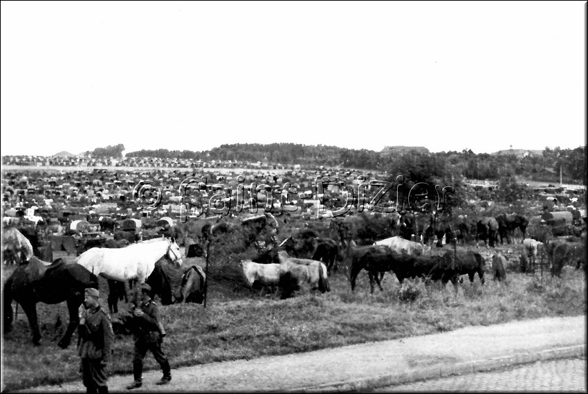 1940 - 0563.jpg