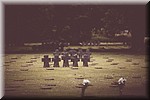 0055.jpg