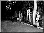 0959.jpg