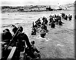 1033.jpg