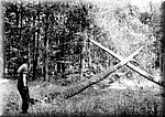 1041.jpg