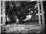 1117.jpg