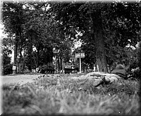 1944 - 0802.jpg