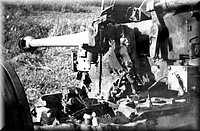 1944 - 3204.jpg