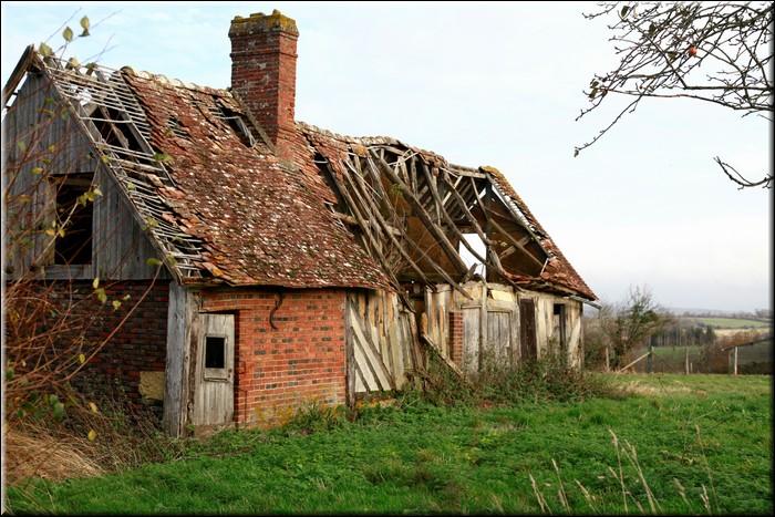0090 copie.jpg