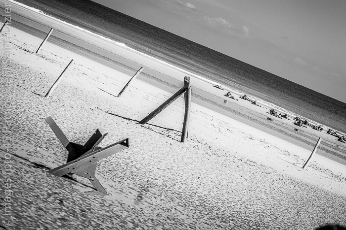 Canon EOS 50D - EF70-200mm f/2.8L IS USM 1/500 s à f / 6,3