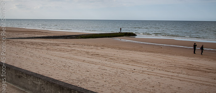 Canon EOS 50D - EF24-105mm f/4L IS USM 1/400 s à f / 6,3