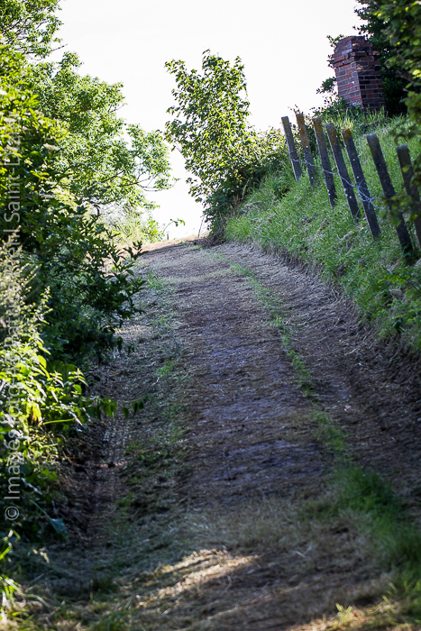 Canon EOS 7D - 120-300mm - 1/320 s à f / 4,5