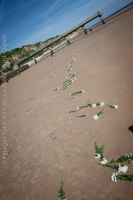 Canon EOS-1Ds Mark III - EF16-35mm f/2.8L II USM - 1/800 s à f / 6,3