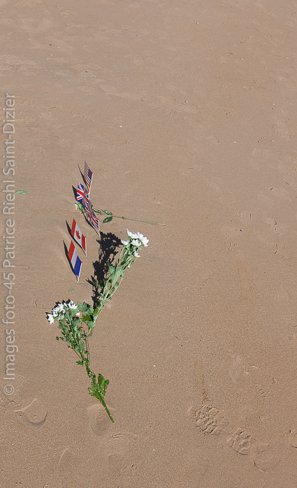 Canon EOS-1Ds Mark III - EF16-35mm f/2.8L II USM - 1/800 s à f / 6,3