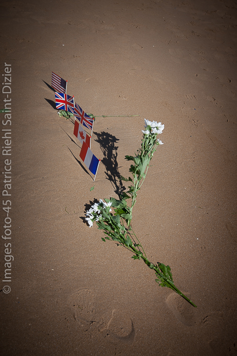 Canon EOS-1Ds Mark III - EF16-35mm f/2.8L II USM - 1/640 s à f / 6,3