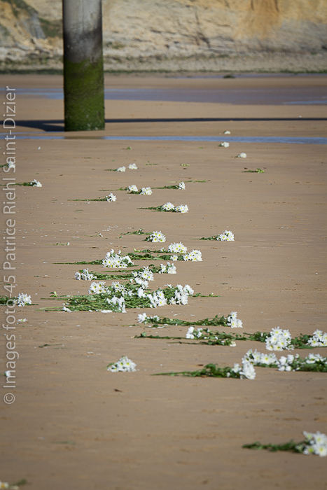 Canon EOS 7D - 120-300mm - 1/640 s à f / 8,0