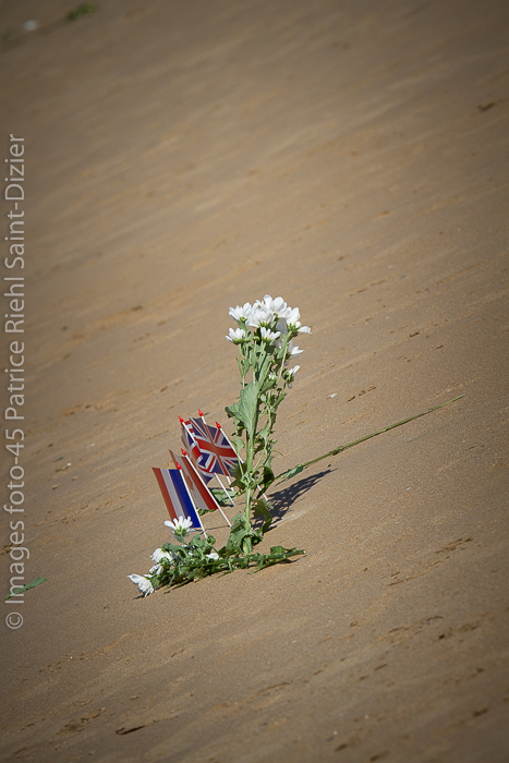 Canon EOS 7D - 120-300mm - 1/640 s à f / 8,0