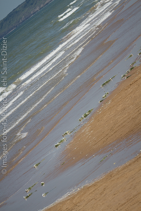 Canon EOS 7D - 120-300mm - 1/2500 s à f / 4,5