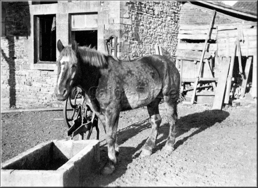 1940 - 0903.jpg