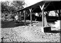 1940 - 0810.jpg