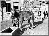 1940 - 0903.jpg