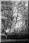 1941 - 0350.jpg