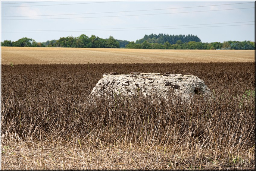 2024_08_20 - 0001.jpg