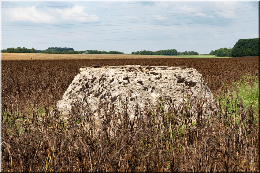 2024_08_20 - 0002.jpg