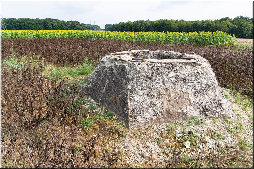 2024_08_20 - 0006.jpg