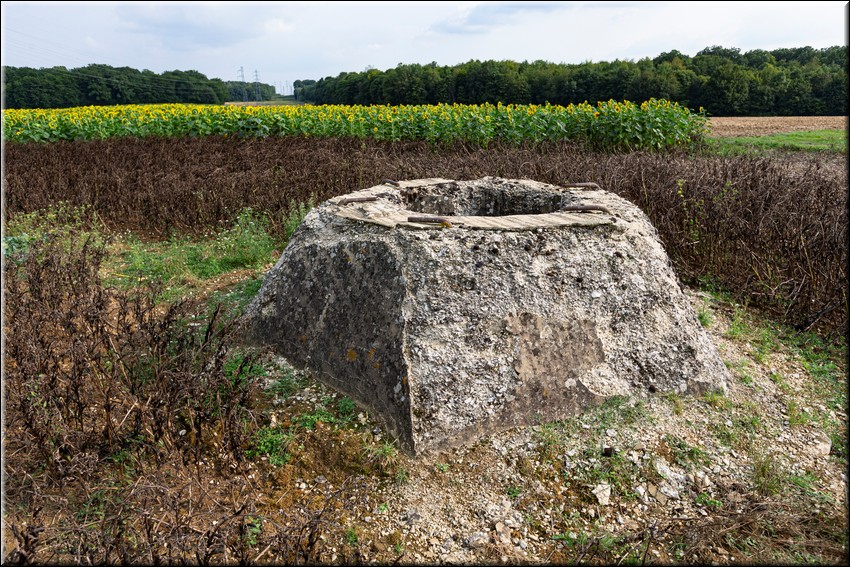 2024_08_20 - 0007.jpg