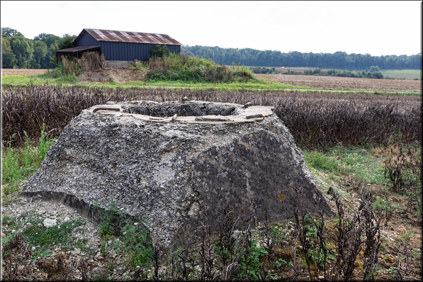 2024_08_20 - 0008.jpg