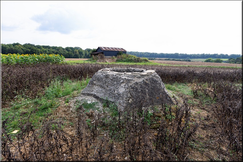 2024_08_20 - 0009.jpg