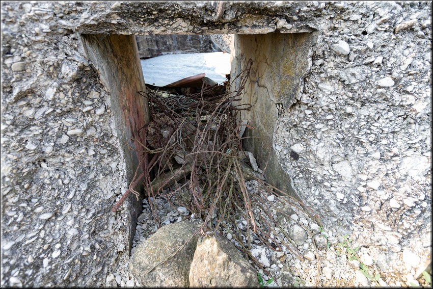 2024_08_20 - 0012.jpg