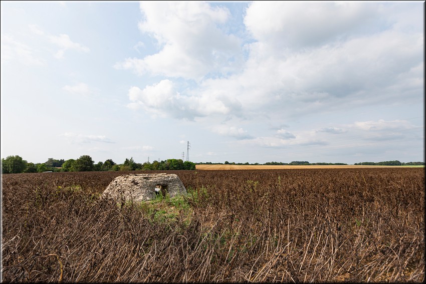 2024_08_20 - 0014.jpg