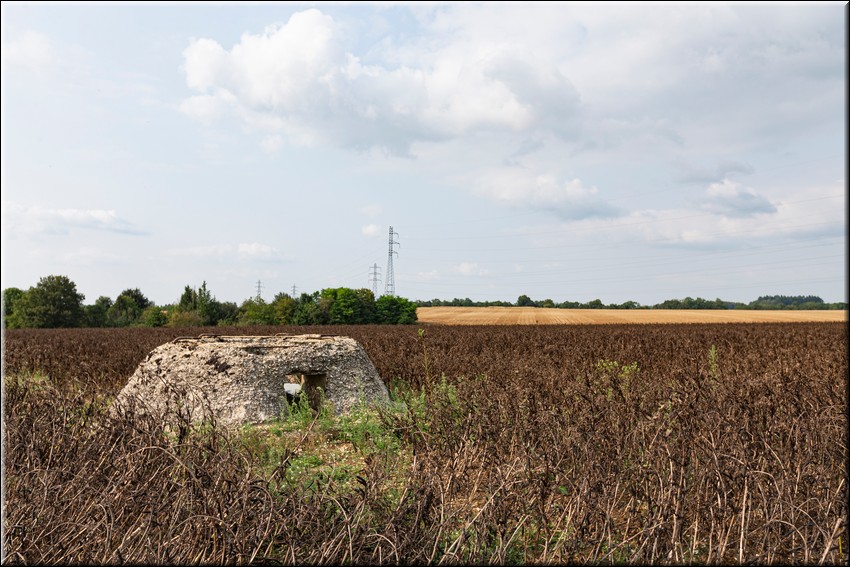 2024_08_20 - 0015.jpg