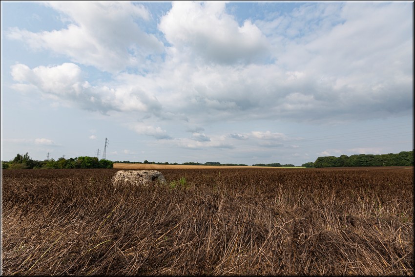 2024_08_20 - 0017.jpg