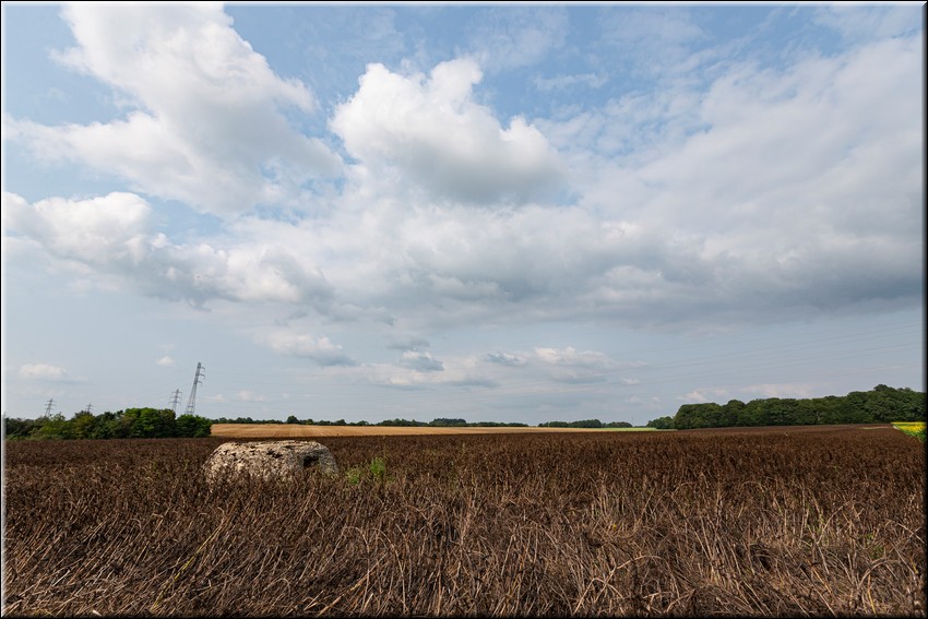 2024_08_20 - 0018.jpg