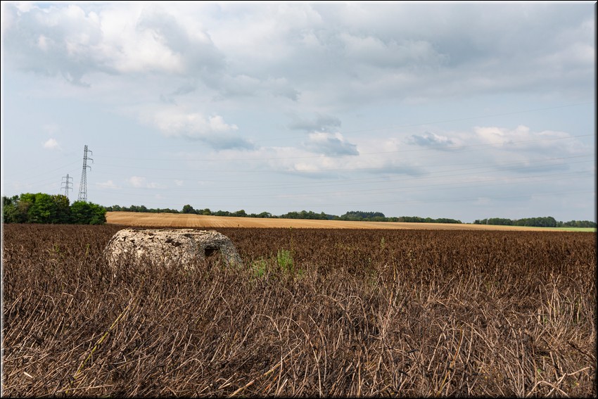 2024_08_20 - 0019.jpg