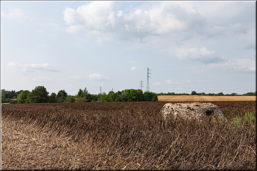 2024_08_20 - 0020.jpg