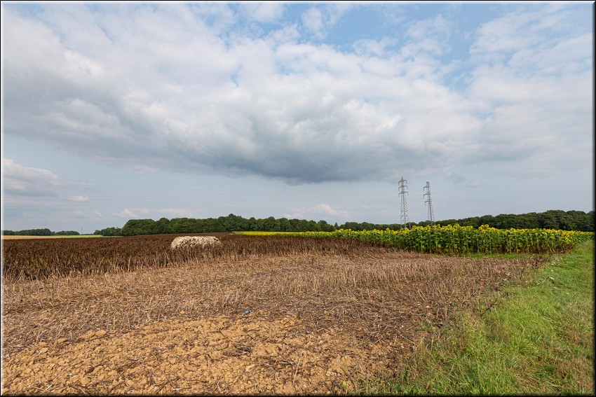 2024_08_20 - 0021.jpg