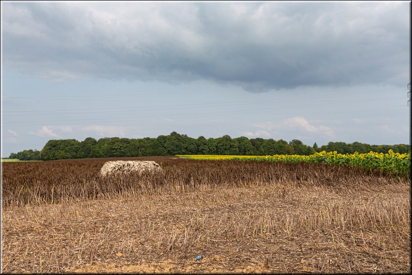 2024_08_20 - 0022.jpg