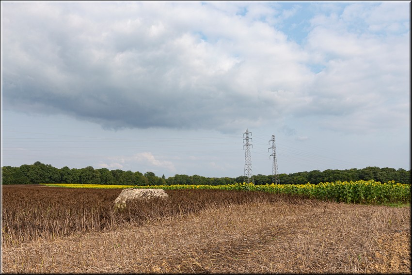 2024_08_20 - 0023.jpg